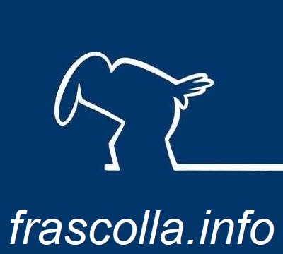 logo di frascolla.info